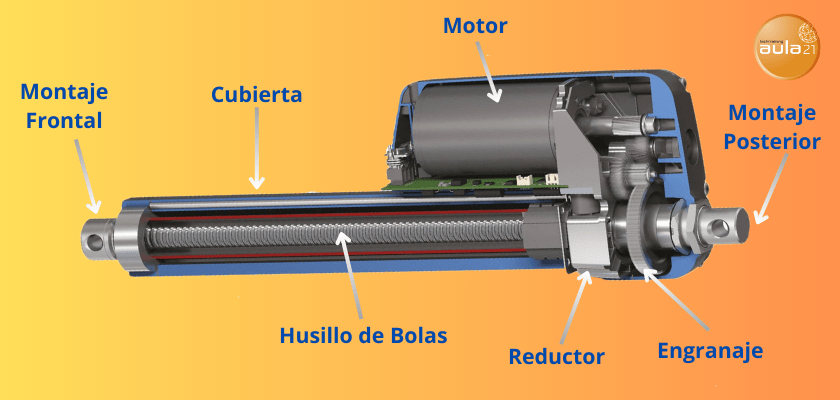 Cuáles son las partes de un actuador